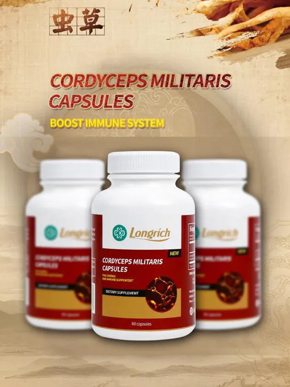 Cordyceps Militaris