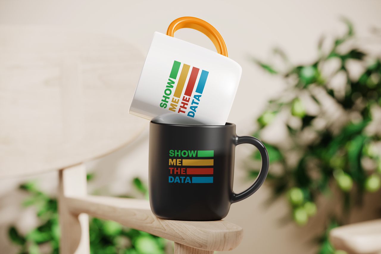 Show Me the Data Mug