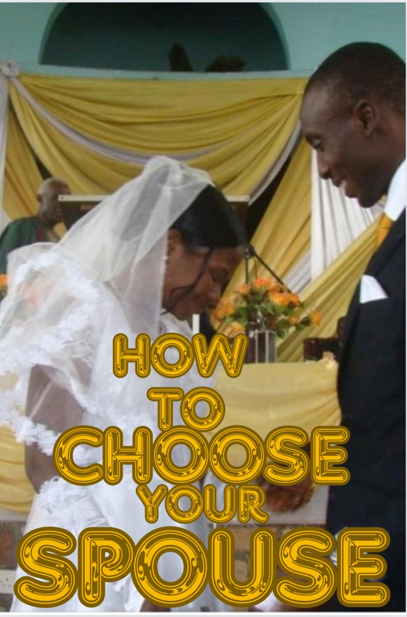 Buy STEPS TO CHOOSING YOUR SPOUSE By Babarinde OLANIYI On Selar buy-steps-to-choosing-your-spouse-by-babarinde-olaniyi-on-selar