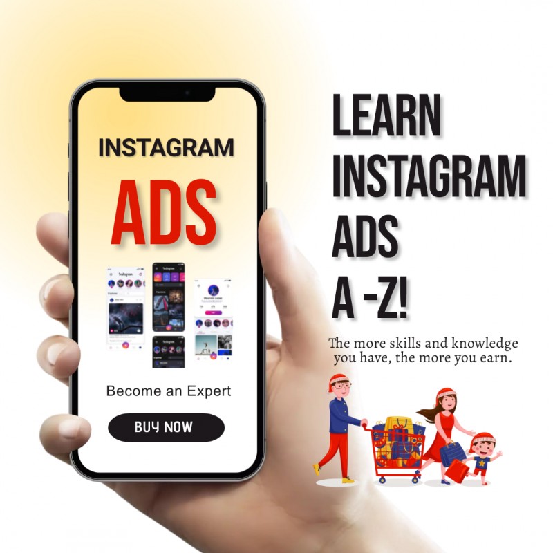 PROFESSIONAL INSTAGRAM ADS PROGRAM