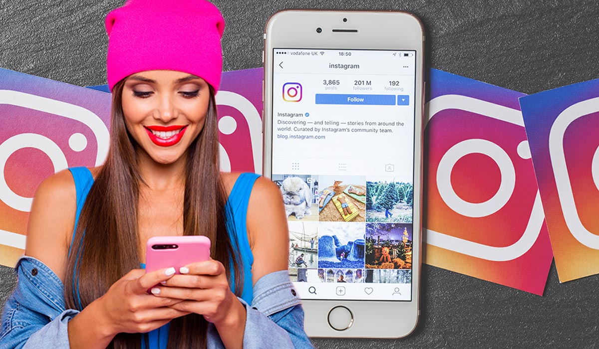 PROFESSIONAL INSTAGRAM ADS PROGRAM