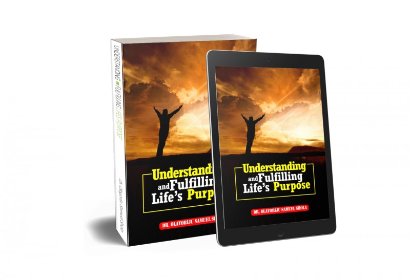 Understanding and Fulfilling Life's Purpose