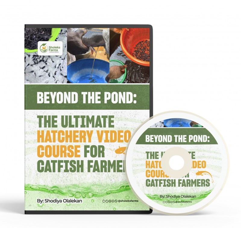 BEYOND THE POND: The Ultimate Hatchery Video Course for Catfish Farmers