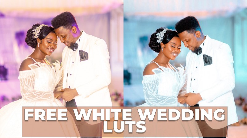 Free white wedding luts
