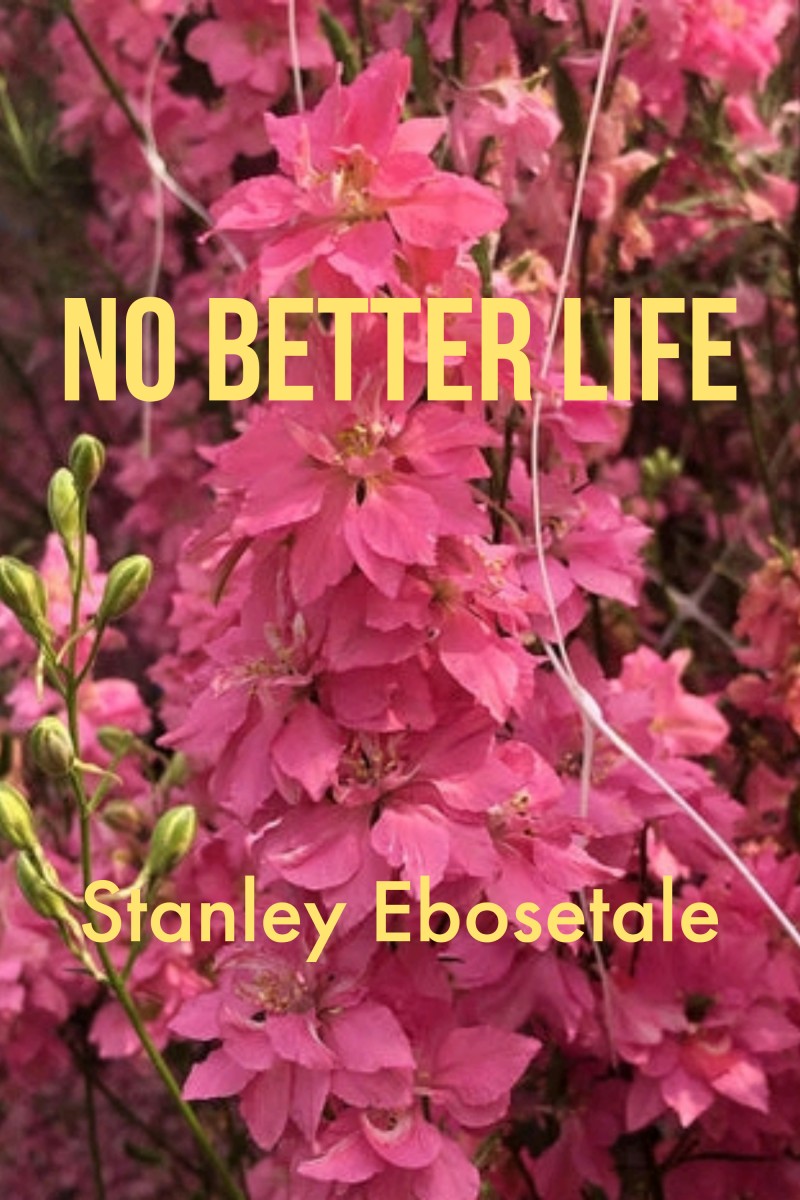 NO BETTER LIFE