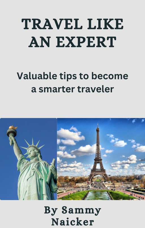 Buy Travel Like An Expert - Valuable tips to become a smarter traveler ...