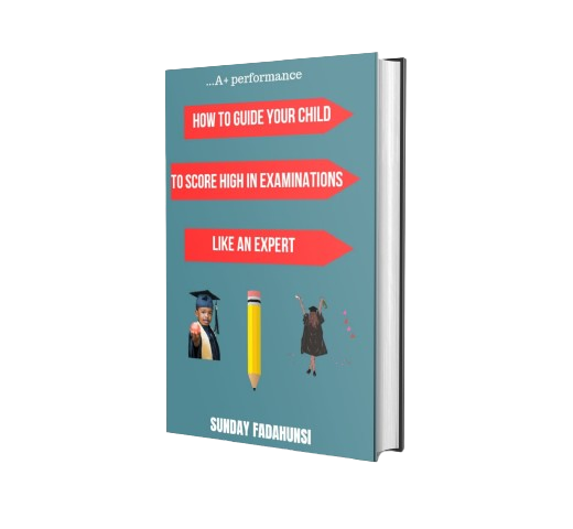 Buy A+ PERFORMANCE: HOW TO GUIDE YOUR CHILD TO HIGH SCORES IN ...