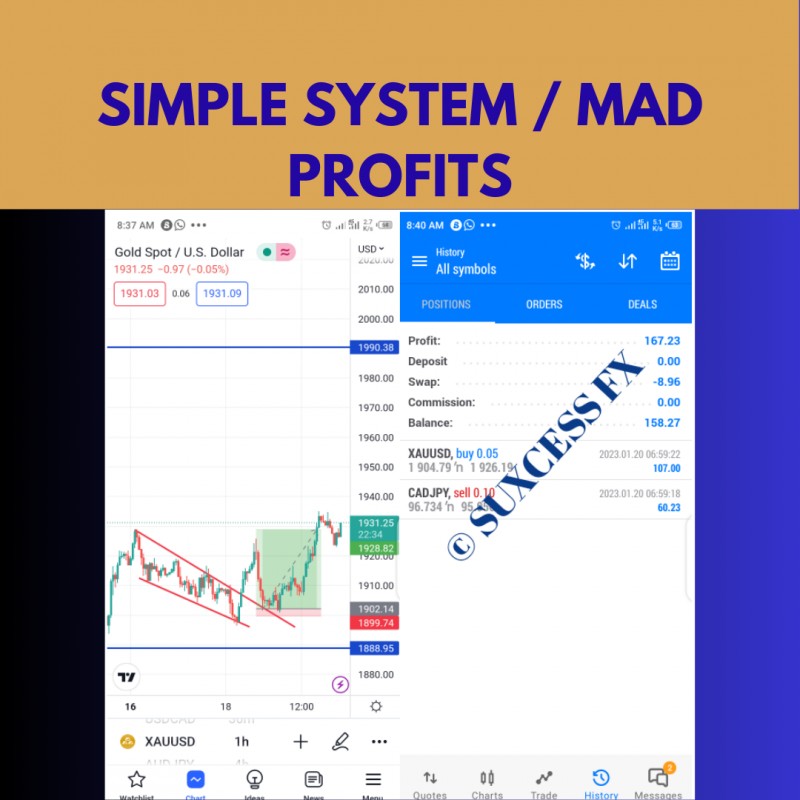 Customer review 5