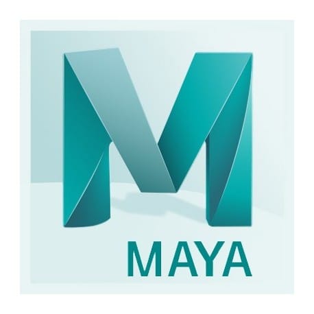 L'essentiel de Maya 2020