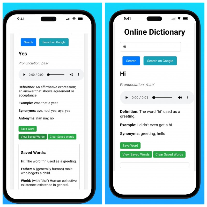 Google support English dictionary (full White label app) copy