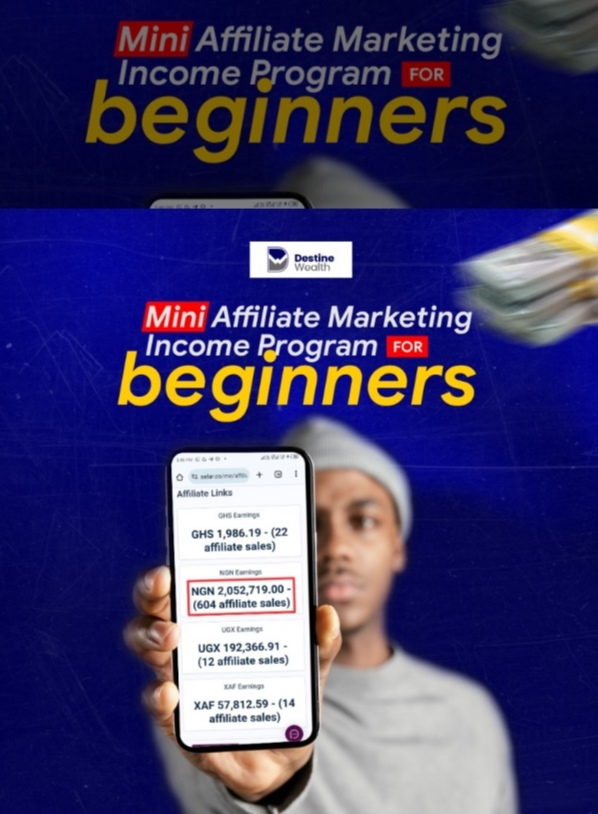 The mini AFFILIATE MARKETING PROGRAM (For Beginners)