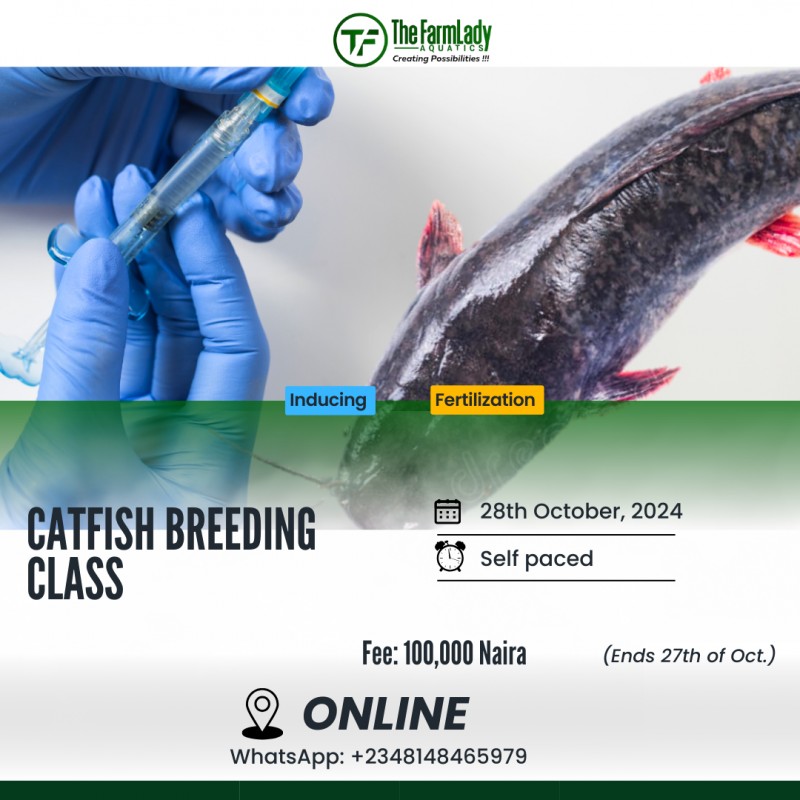 Catfish Hatching Course