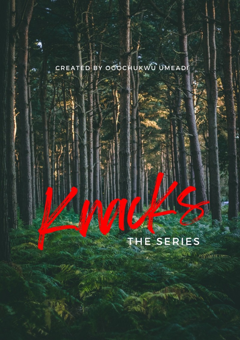 Knacks Series Excerpt Press Kit