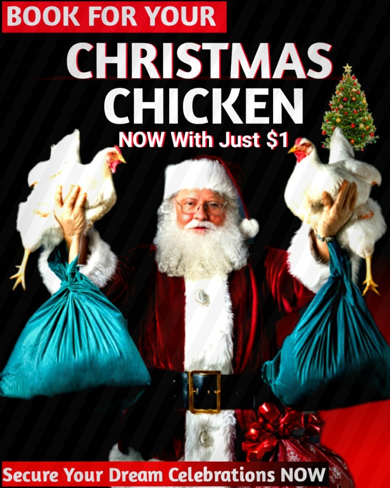 FESTIVE SEASON