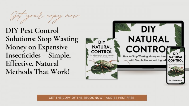 DIY Pest Control Solutions