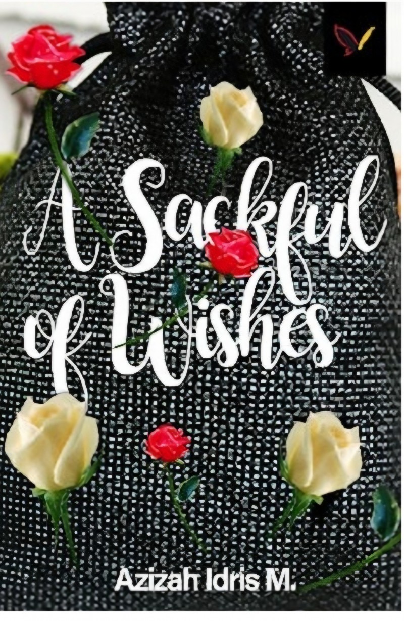A SACKFUL OF WISHES: Book One of the Hadiza Triology