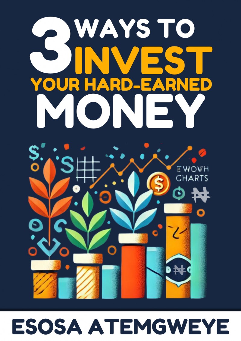 3 WAYS TO INVEST YOUR HARD-EARNED MONEY BY ESOSA ATEMGWEYE.