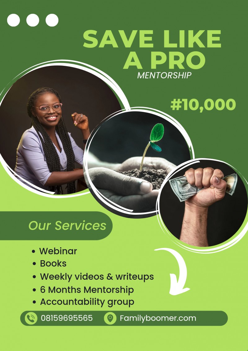 Save Like A Pro Mentorship