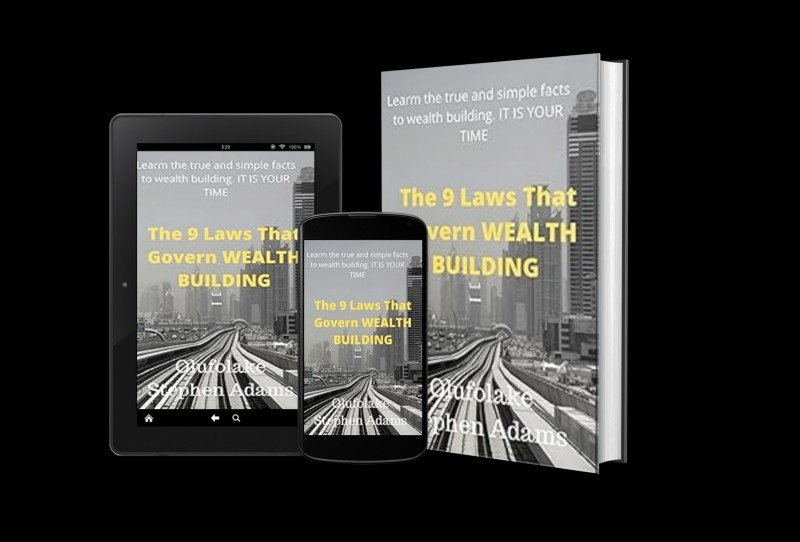 The 9 Laws That Govern Wealth Building: How to Apply these Rules to Build Wealth in Any Economy