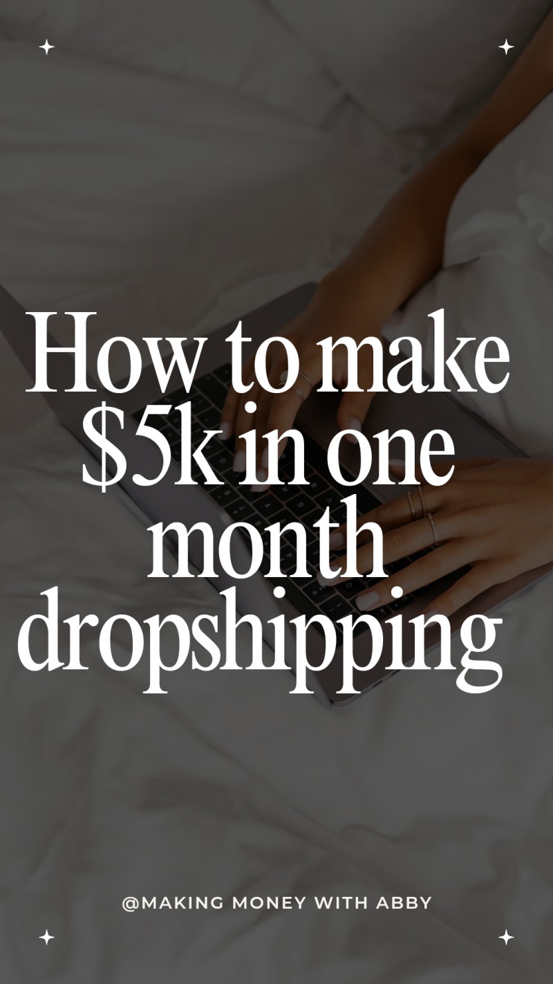 Buy Beginner dropshipping guide by Abigaek Kiminda on Selar