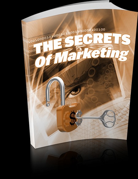 THE SECRETS OF MARKETING VIA SOCIAL NETWORKING  SITES