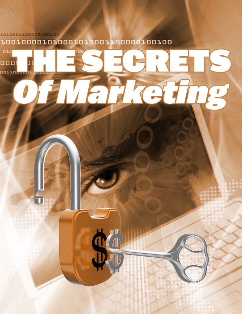 THE SECRETS OF MARKETING VIA SOCIAL NETWORKING SITES