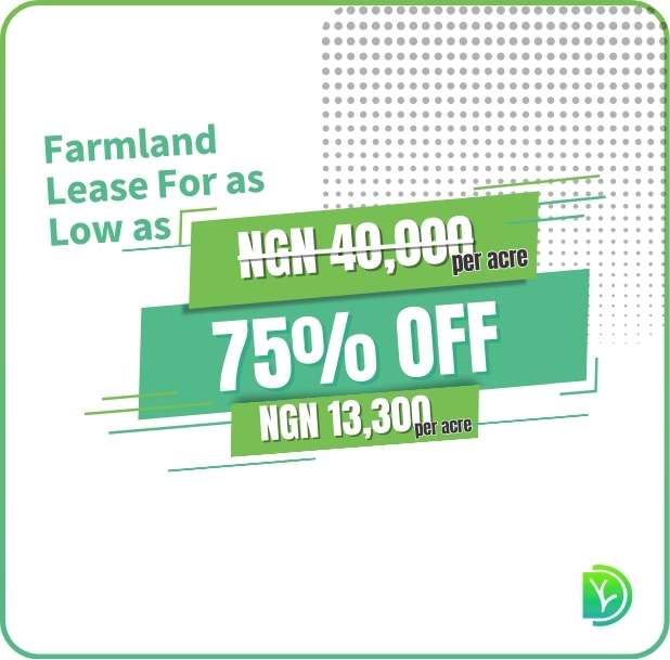 1 Year Farmland Lease