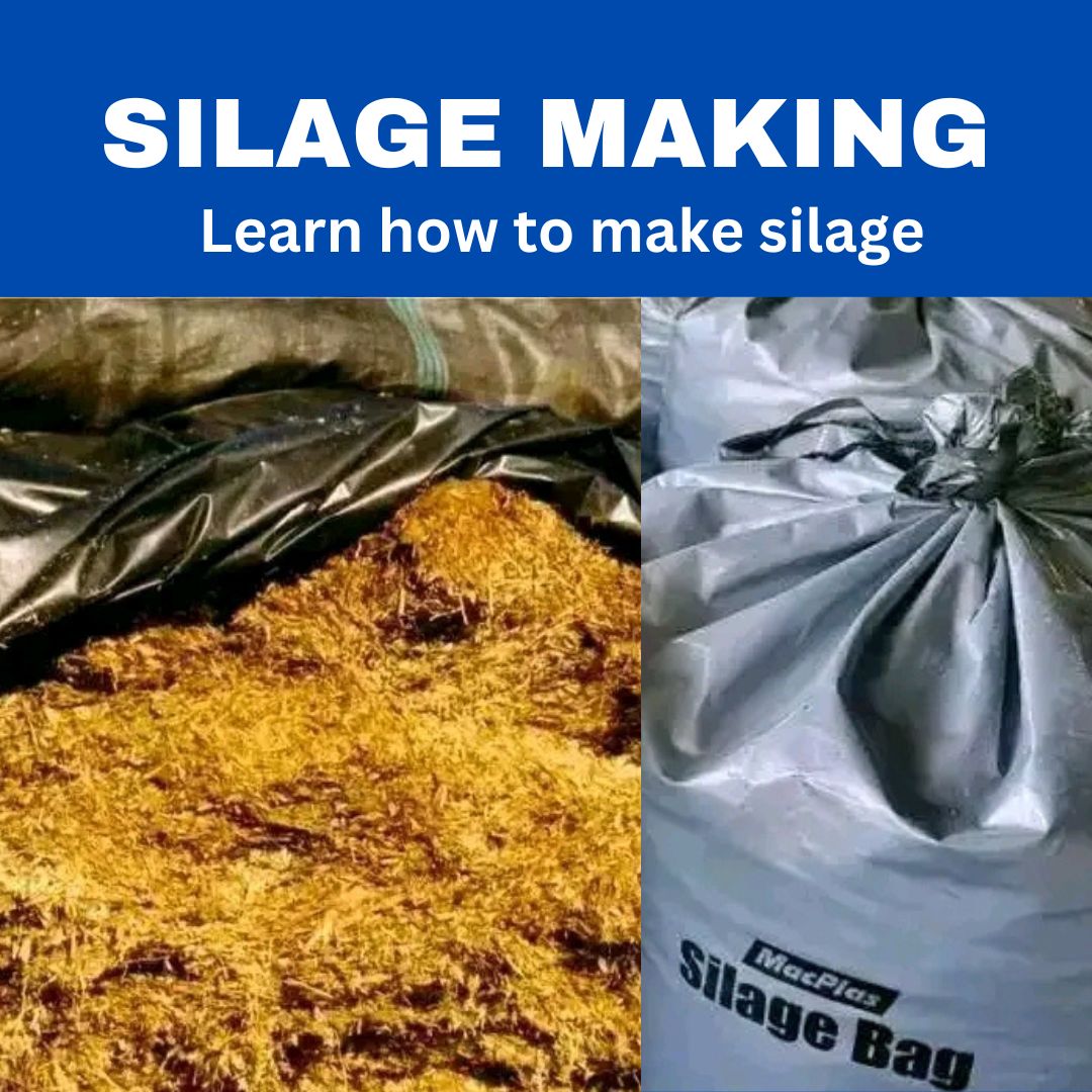 SILAGE MAKING BOOK
