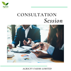 Online Consultation Session