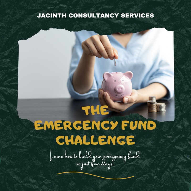 Emergency Fund Workshop & Challenge