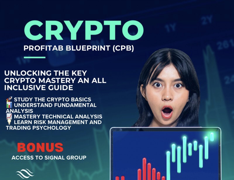 buy-bull-run-mastery-by-magnus-on-selar