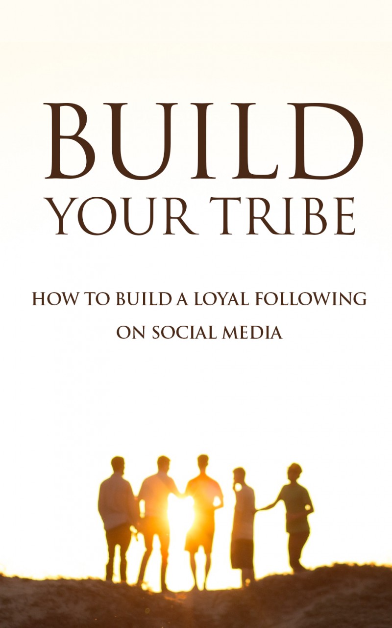 BUILD YOUR SOCIAL MEDIA FOLLOWERS