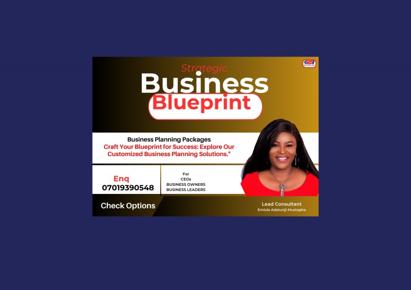 Strategic Business Blueprint - Business Planning Packages