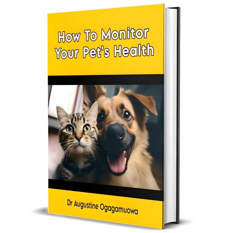 HOW TO MONITOR YOUR PET'S HEALTH