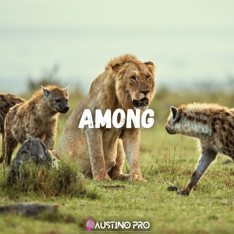 Ayra Starr X Burna Boy X Ruger Dancehall Type Beat "Among"  free Afrobeat Instrumental 2024