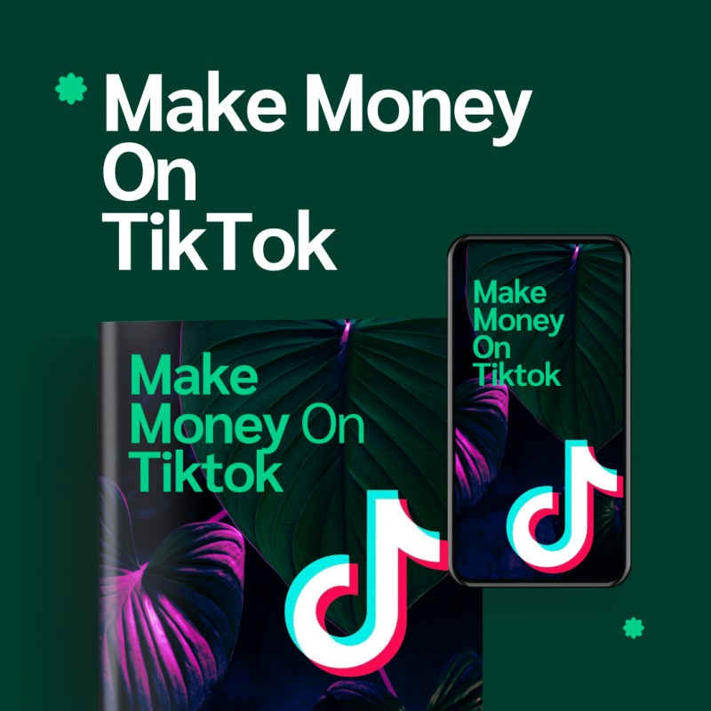 The Ultimate Guide to TikTok Wealth