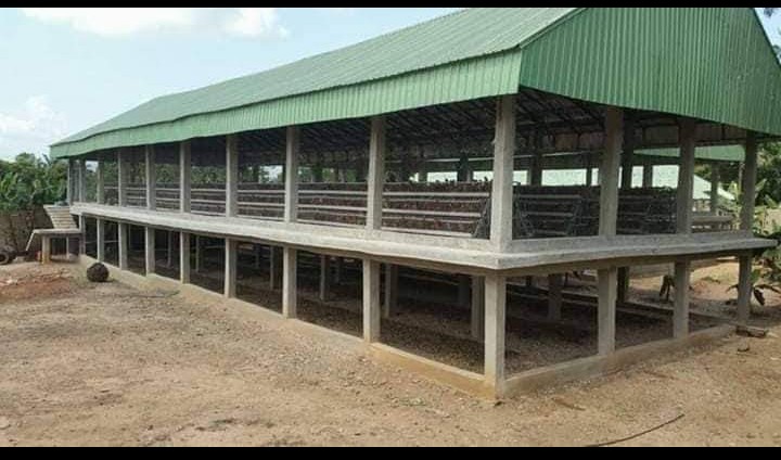 Two floors poultry house plan