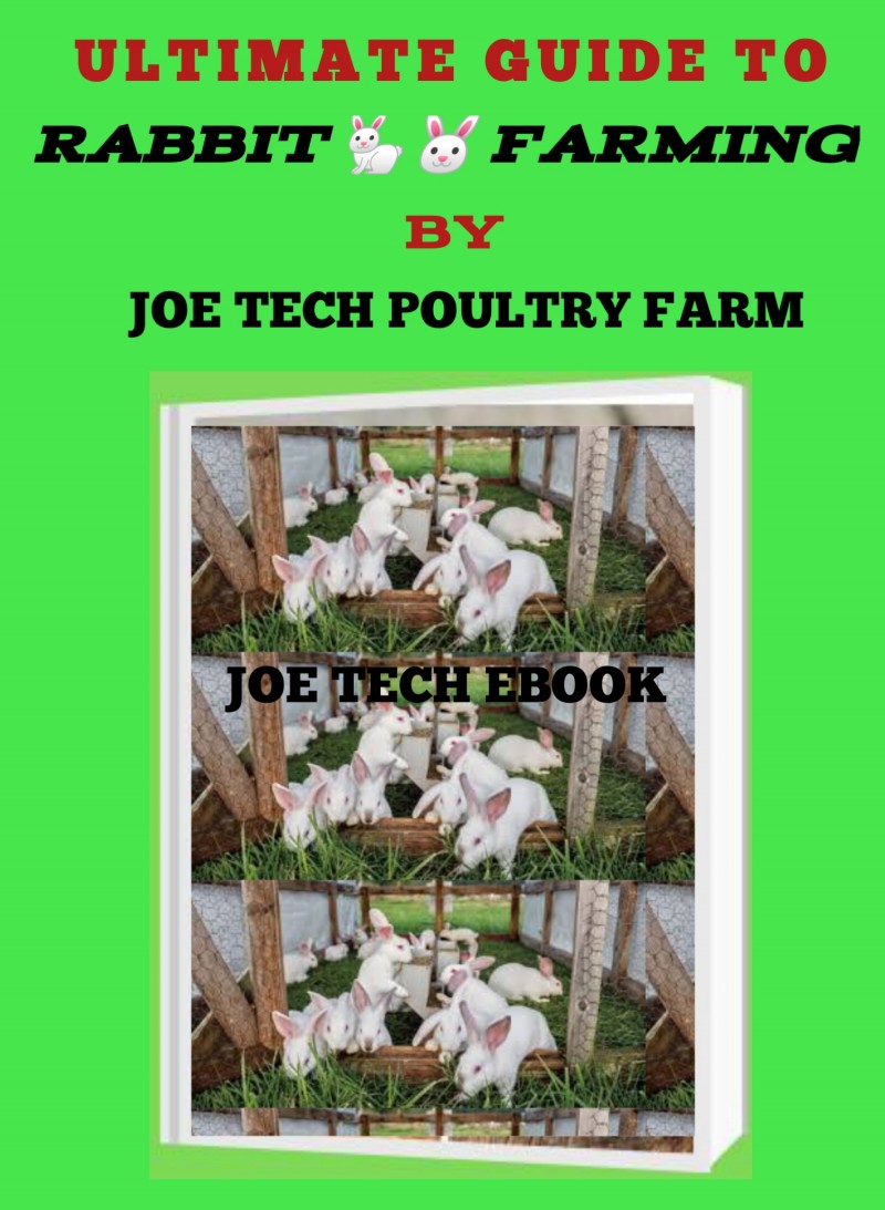 ULTIMATE GUIDE TO RABBIT FARMING