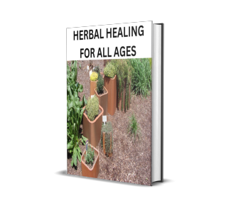 Buy HERBAL HEALING FOR ALL AGES by BETHEL EBIUWHE on Selar