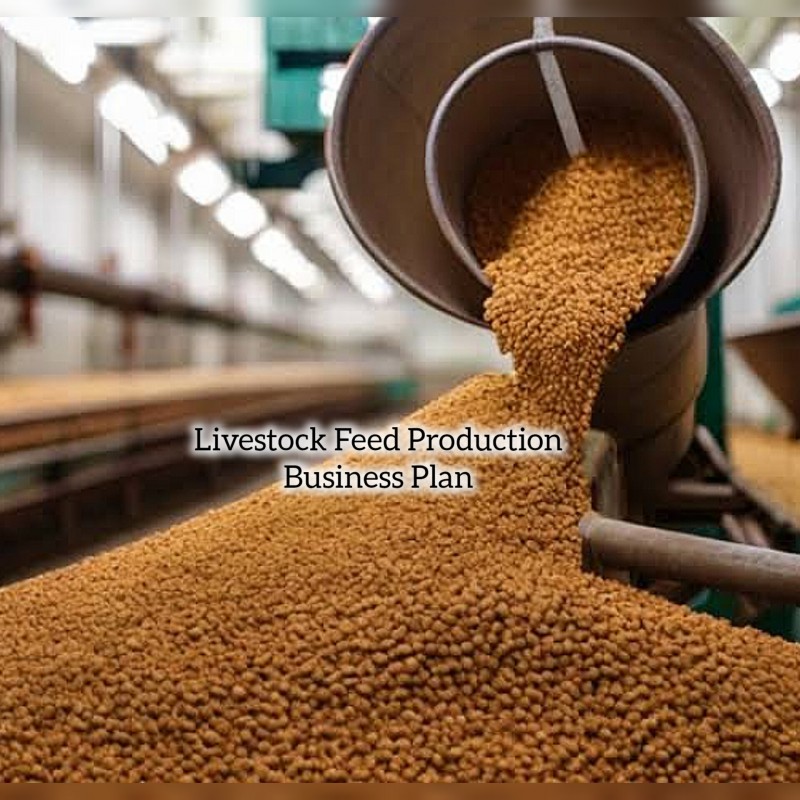 Livestock Feed Production Business Plan Pdf