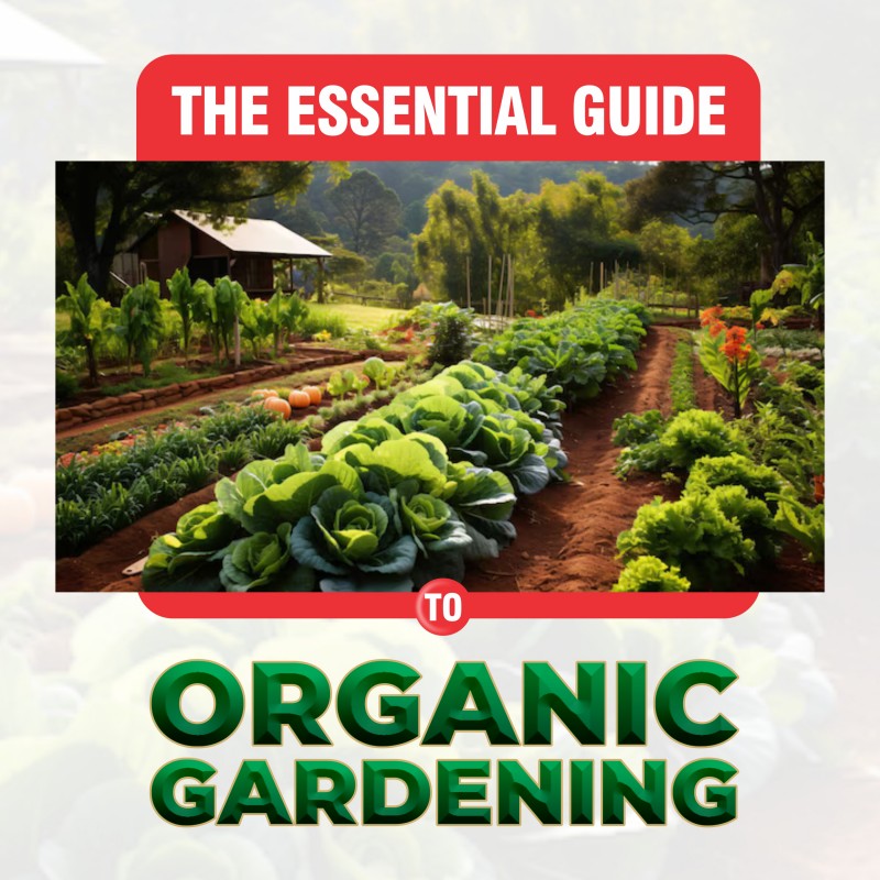 The Essential Guide To Organic Gardening