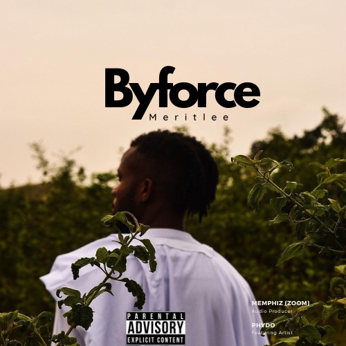 Meritlee- byforce X Fido Audio