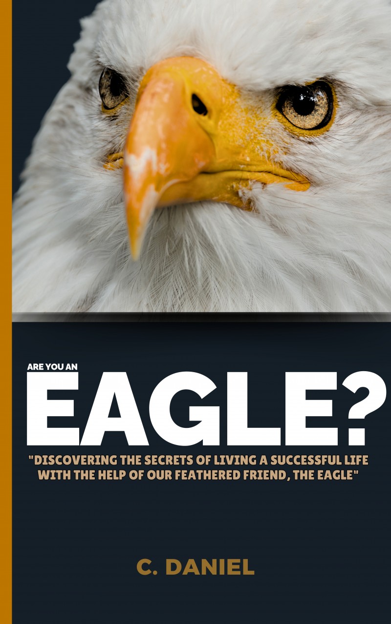 Are You An Eagle by C.Daniel