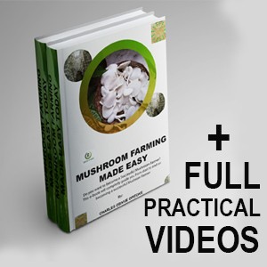 Mushroom Farming Made Easy