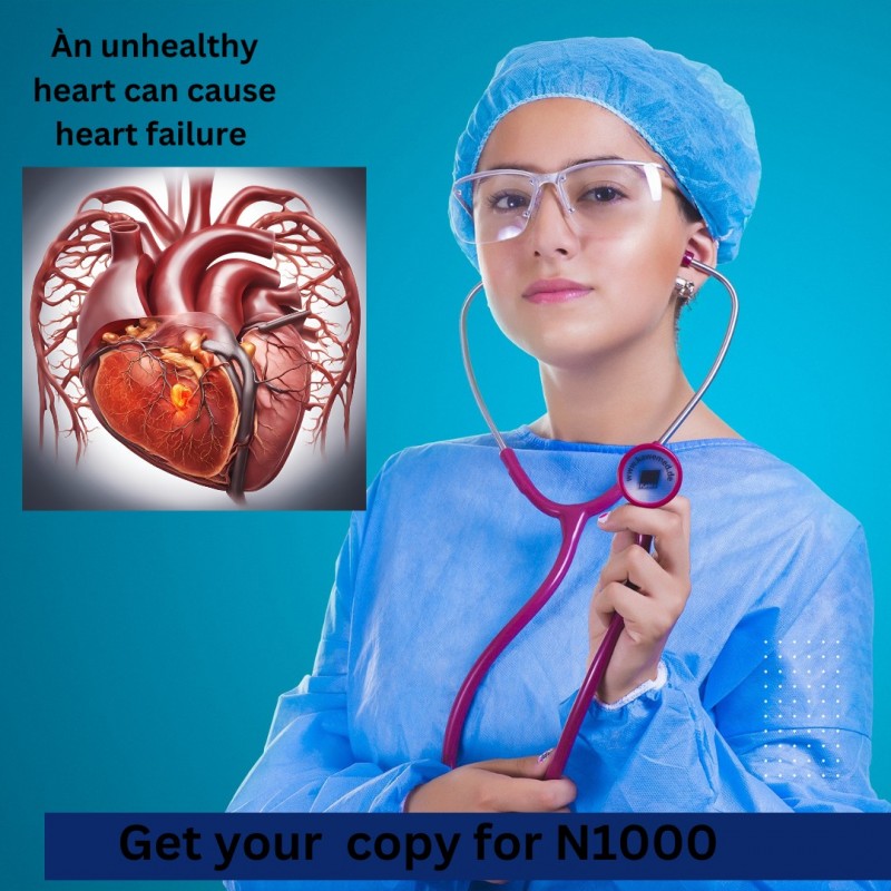 Buy E BOOK ON HEALTHY HEART By Charles Uzoma On Selar buy-e-book-on-healthy-heart-by-charles-uzoma-on-selar