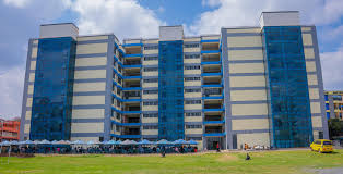 Nibs college courses and requirements brochure PDF