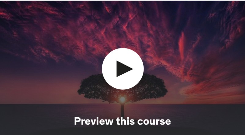 Complete Photography Masterclass: 4 Courses IN 1