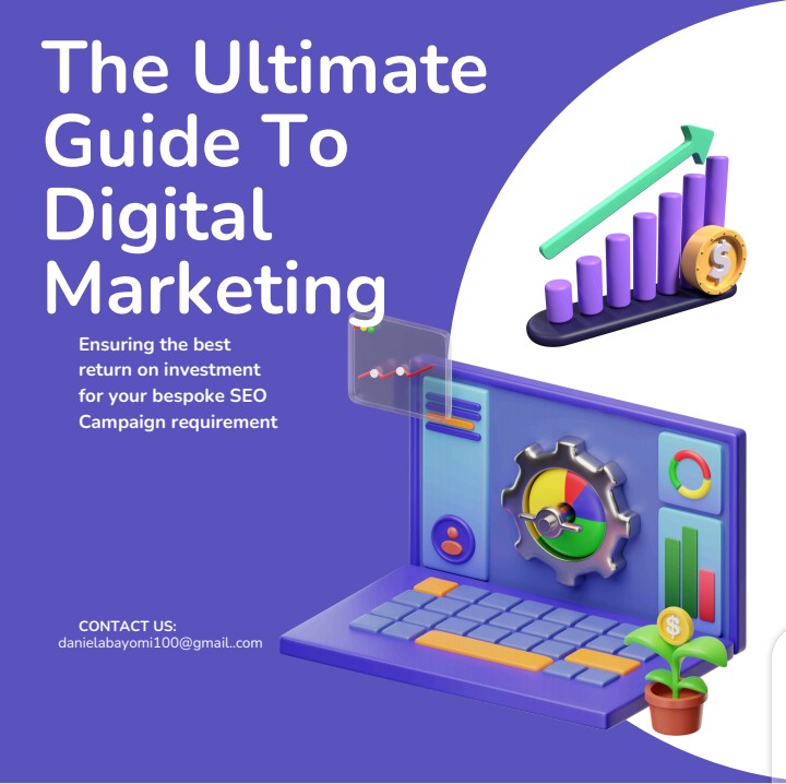 Buy Ultimate guide on digital marketing by Daniel promise on Selar