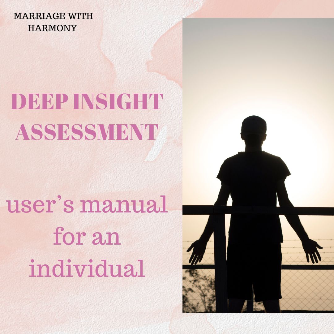 Get DEEP INSIGHT ASSESSMENT by BUNMI ADESIYAN on Selar