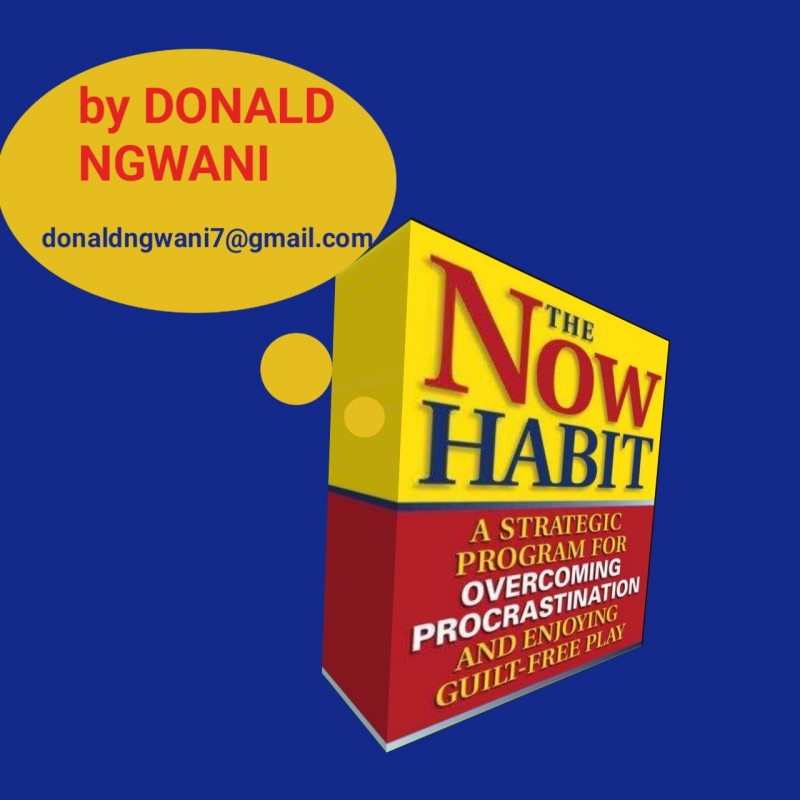 THE NOW HABIT